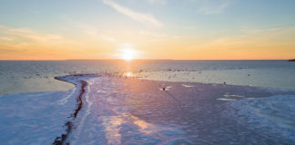 Toimetuse veerg: Kui palju küsida raha?