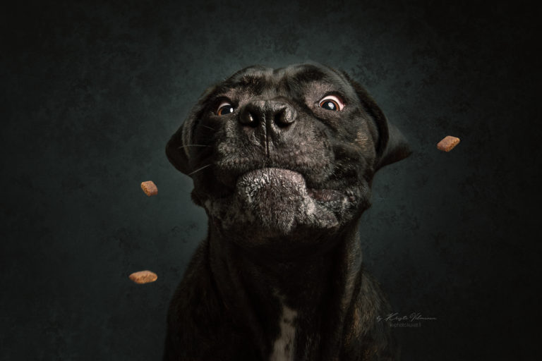 Kristi Vilmunen: “Uh… Oh…! Maiuseeed!”