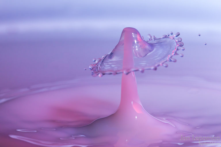 Tubased pildistamised. Osa 1: Vesi Tubased pildistamised. Osa 1: Vesi