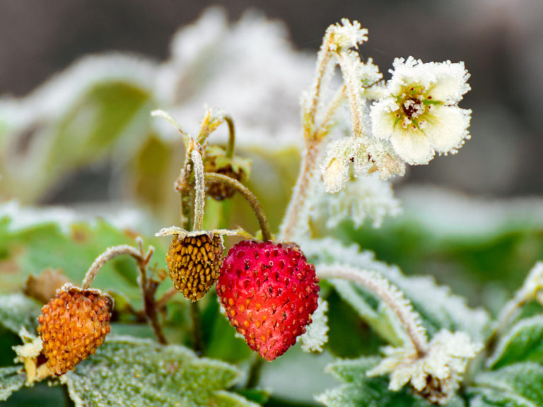 Marje Metsaots: “Kõik aastaajad mahtusid ühele pildile”