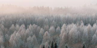 Toimetuse veerg: Me kõik oleme fotograafid!