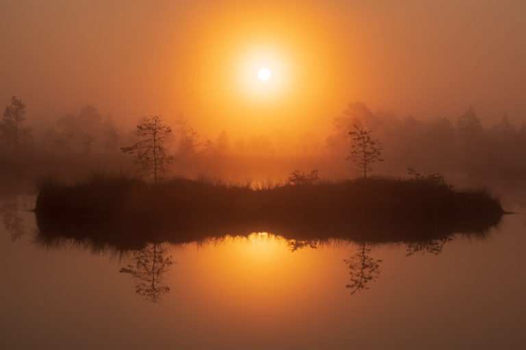 4 nippi hea maastikupildi saamiseks 4 nippi hea maastikupildi saamiseks