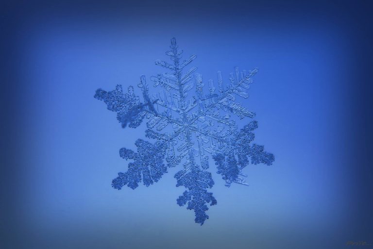 Makrofotograafia – pildistame lumehelbeid