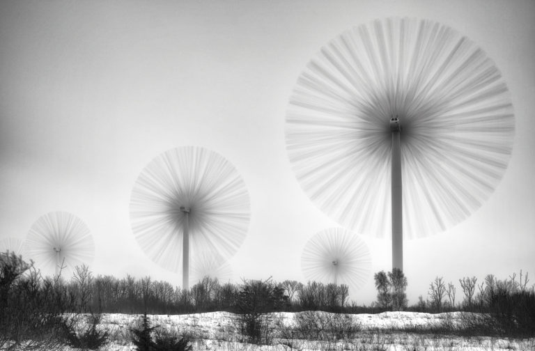 Joonas Kokamägi: “Paldiski raudlilled” Joonas Kokamägi: “Paldiski raudlilled”