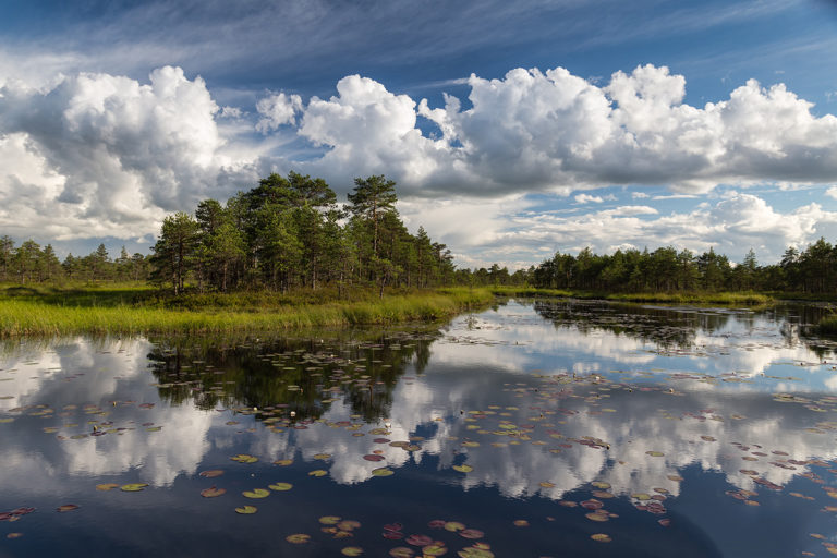 Kairo Kiitsaku ilmateade: pildistame pilvi!