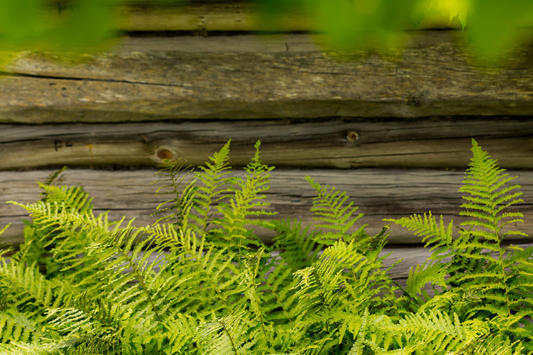 Kairo Kiitsaku ilmateade: jaanipäev tuleb hea fotoilmaga!