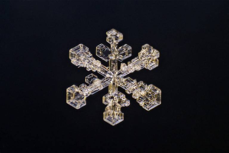 Reverse-rõngad: odavaim pilet übermakromaailma Reverse-rõngad: odavaim pilet übermakromaailma