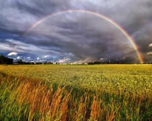 Tavaliselt ei mahu vikerkaar korraga kaadrisse. 17mm ülilainurk teeb selliste piltide tegemise väga lihtsaks.<br /> Foto: Jaak Nilson, Huawei P30 @17mm