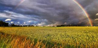 Jaak Nilson: „Telefonifoto areneb meeletu kiirusega!“