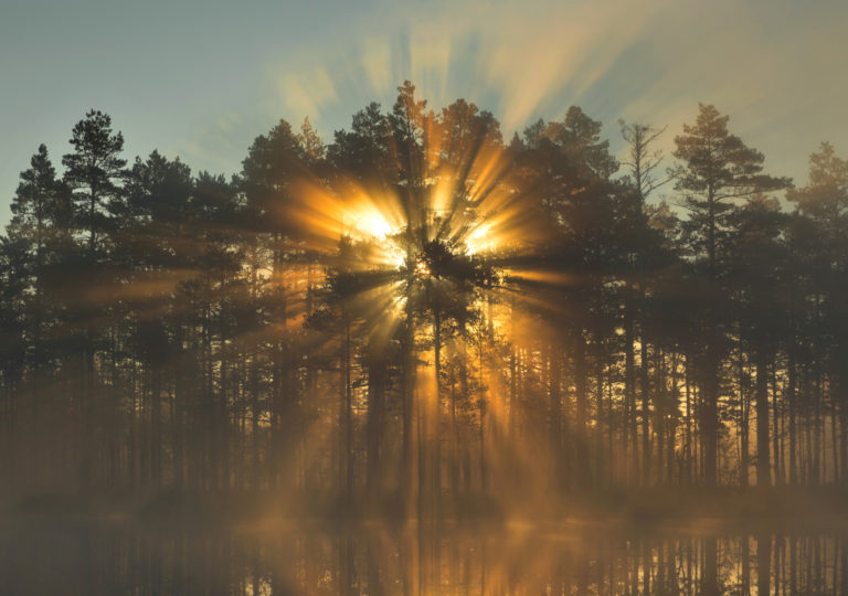 Kairo Kiitsaku ilmateade: rabasse päikesetõusu pildistama! Kairo Kiitsaku ilmateade: rabasse päikesetõusu pildistama!