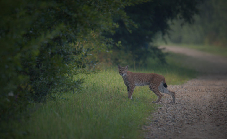 Nädalafoto autor on Priit Tammjärv: “Need hetked…” Nädalafoto autor on Priit Tammjärv: “Need hetked…”