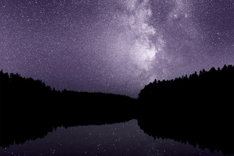 Kairo Kiitsaku ilmateade: on aeg Linnuteed pildistada!