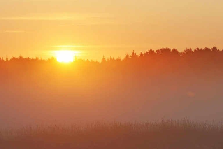 Kairo Kiitsaku ilmateade: Ilm on udune ja niiske! Kairo Kiitsaku ilmateade: Ilm on udune ja niiske!