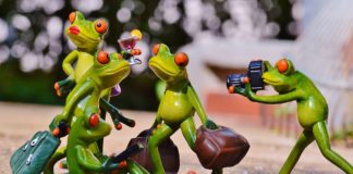 Fotohanke tulemused: keskpärased on kõige kallimad