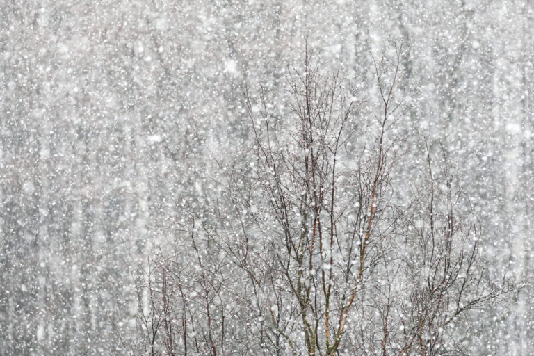 Kairo Kiitsaku ilmateade: kes saab esimese lume pildile? Kairo Kiitsaku ilmateade: kes saab esimese lume pildile?