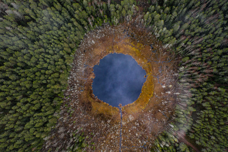 Nädala pildigalerii autor Janek Joab: “Tumerohelised jõulud” Nädala pildigalerii autor Janek Joab: “Tumerohelised jõulud”