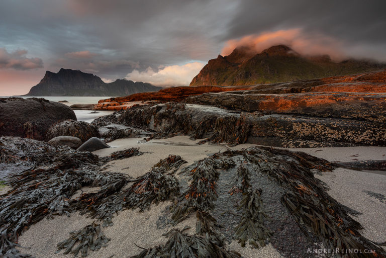 Soovitused, kuidas fotol inimtegevust vähendada