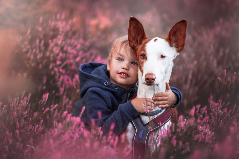 Nädalagalerii autor Kristiina Tammik: „Need võrratud koerad“ Nädalagalerii autor Kristiina Tammik: „Need võrratud koerad“