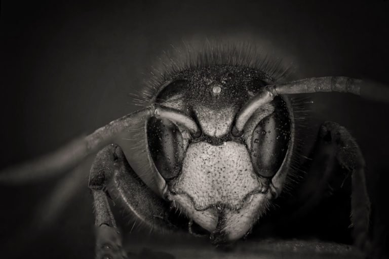 Imemees Janek Lass teeb peldikutorust vaherõngaid Imemees Janek Lass teeb peldikutorust vaherõngaid