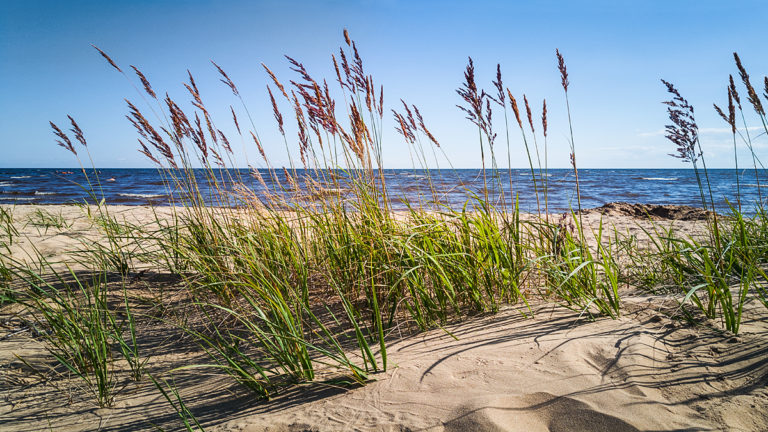 Kuidas ja millega teha nutifotole korralik järeltöötlus? Kuidas ja millega teha nutifotole korralik järeltöötlus?