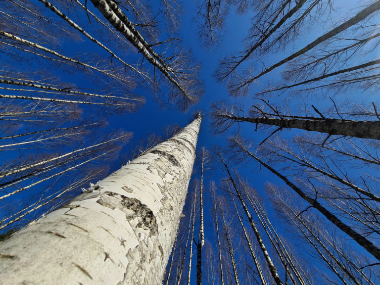 Samsung S20 Ultra 5G: üle promotud über-nutikaamera