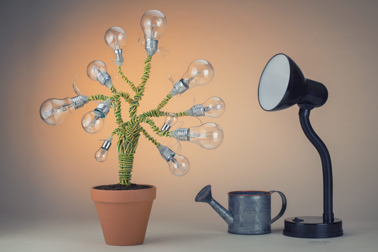 Nädala galerii: Larianna Holm ja tema “Lambipere”