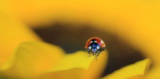 Monica Kass: “Kui hakkasin pilte töötlema… Vot see oli viga!”