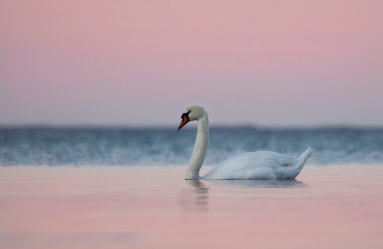98. Neli lihtsat soovitust, kuidas fotod huvitavamaks muuta 98. Neli lihtsat soovitust, kuidas fotod huvitavamaks muuta