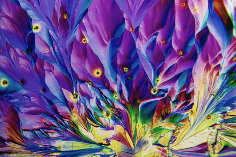 Janek Lassi pildilugu: ohtlikud kemikaalid või head modellid?