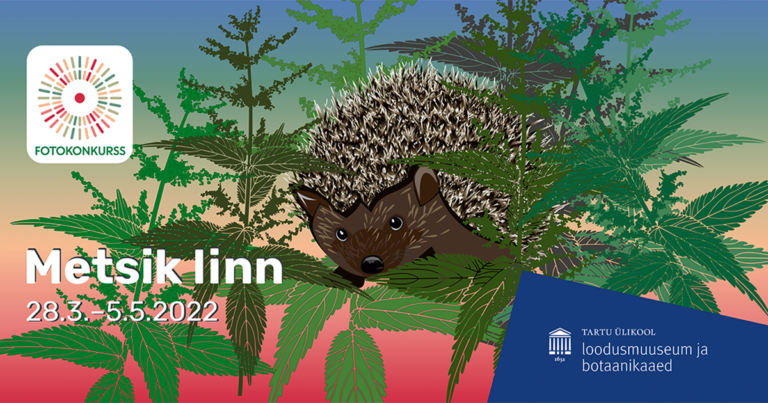 Loodusfestival korraldab linnalooduse fotokonkursi „Metsik linn“ 