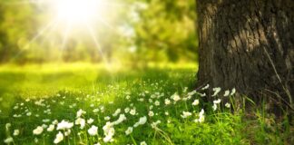 Kui ilmad on pildistamiseks justkui loodud