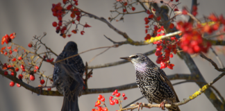 Aeg on sügist pildistada. Aga mida ja kuidas?