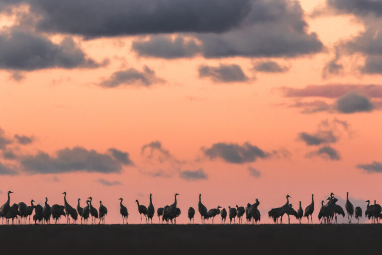 Fotokonkursi „Värviline sügis“ võidutööd on selgunud