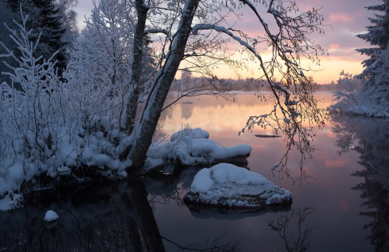Ingmar Muusikuse kolumn: Detsember – Imeline eeltalv