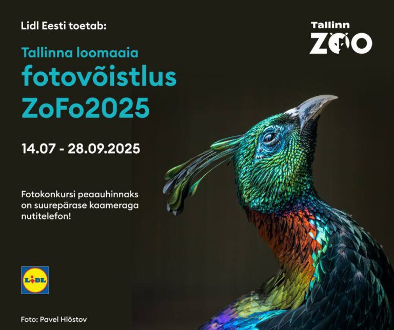 Tallinna loomaaia fotovõistlus ZoFo 2025