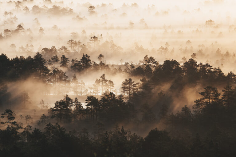 Miks see maaliline asukoht on minu loodusfotograafia nimekirja tipus? Miks see maaliline asukoht on minu loodusfotograafia nimekirja tipus?