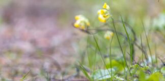 Selgunud on “Vereta Jaht 2025” parimad fotod