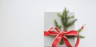 Kingitused jõuludeks fotosõbrale