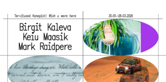 FOKU galeriis avaneb näitus „Tervitused Kanepist! Wish u were here“