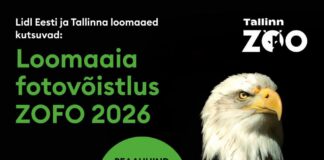 ZoFo 2026 kutsub jäädvustama loomaaia kõige põnevamaid hetki