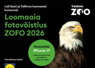 ZoFo 2026 kutsub jäädvustama loomaaia kõige põnevamaid hetki